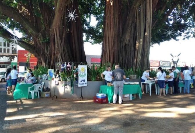 Tradicional Feira Verde da Apae chega a 18ª Edição: Livro de poemas escritos por alunos é atração